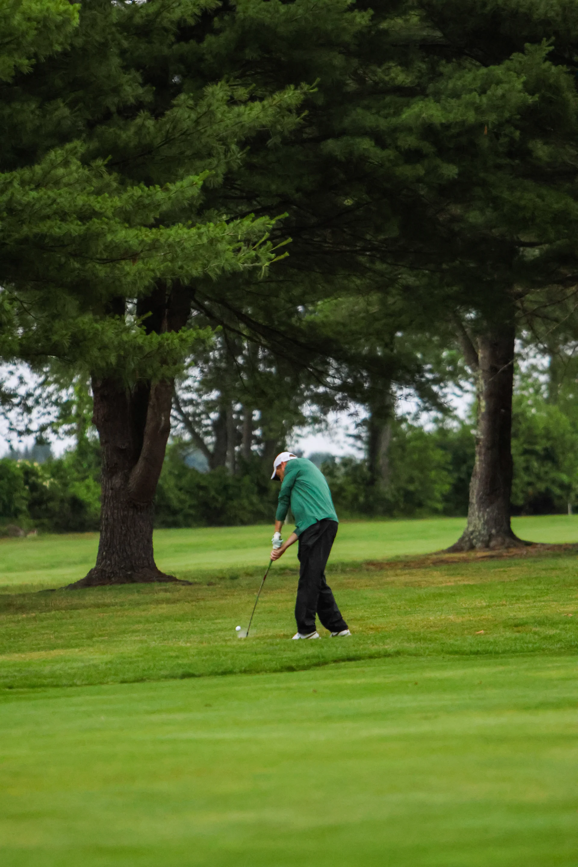 Alumni Golf Tournament Jj28.webp
